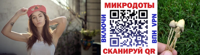 Псилоцибиновые грибы Psilocybine cubensis  Красноармейск 